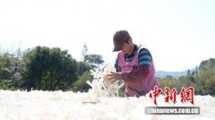 （乡村行·看振兴）浙江湖州：百年古法粉丝 串起乡村共富路