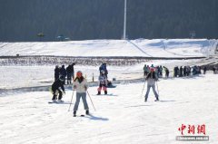（走进中国乡村）天山脚下“冷资源”激活乡村“热经济”